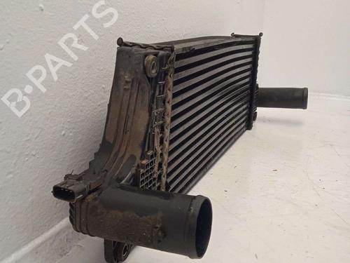 Intercooler TATA ARIA 2.2 Di AWD | BP34630917M30 - Image 2