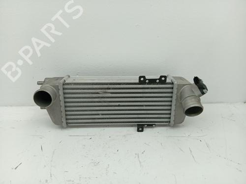 Intercooler Intercooler HYUNDAI i30 (FD) 1.6 CRDi (116 hp) 33872401 33872401