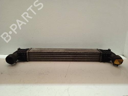 Used Intercooler SEAT ALHAMBRA (7V8, 7V9) 1.9 TDI (110 hp) 4293508