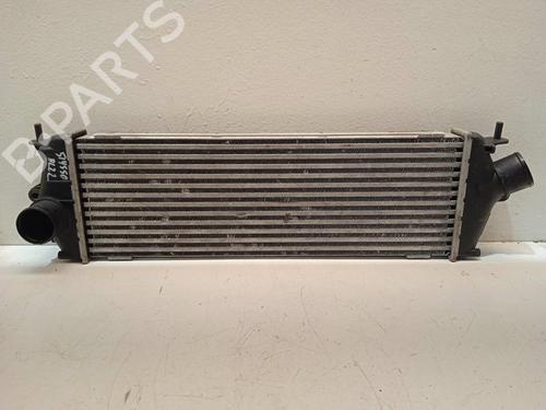 Intercooler NISSAN PRIMASTAR Van (X83) [2002-2026]  4296025