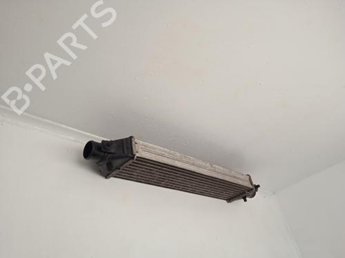 Intercooler FIAT BRAVO II (198_) 1.6 D Multijet (198AXH1B) | BP31617113M30 