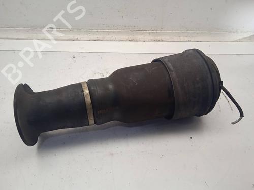 BP11158370M19 main image