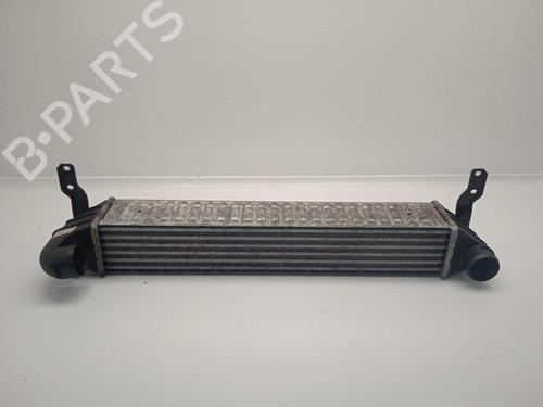 Intercooler SEAT ALHAMBRA (7V8, 7V9) | BP21219331M30