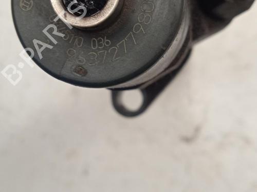 Injector PEUGEOT 607 (9D, 9U) 2.2 HDi | BP31619618M100 