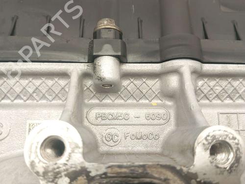 Cylinder head FORD FOCUS III | BP31619649M5 - Image 5
