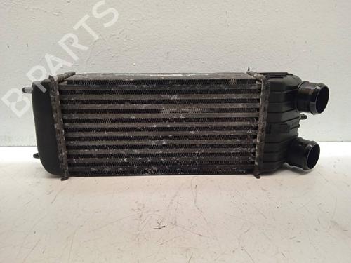 Used Intercooler PEUGEOT 207 (WA_, WC_) [2006-2015]  4355866