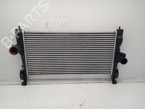 Used Intercooler HYUNDAI SONATA V (NF) 2.0 CRDi (140 hp) 11166128
