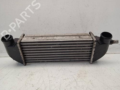 Used Intercooler Intercooler FORD TRANSIT CONNECT (P65_, P70_, P80_) 1.8 Di (75 hp) 4287975 4287975