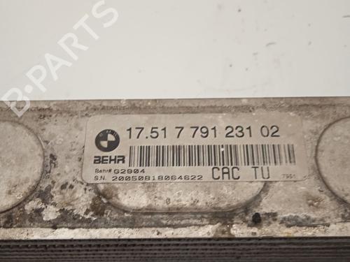 Intercooler BMW X5 (E53) 3.0 d | BP39100579M30 - Image 5