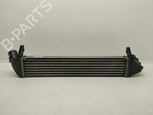 Intercooler DACIA SANDERO | BP24817539M30