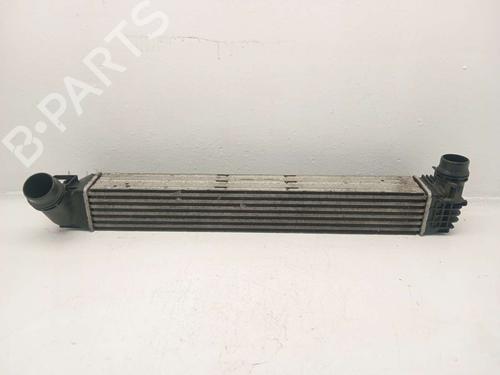 intercooler-renault-megane-iii-coupe-dz01_-2008-2009-2010-2011-2012-2013-2014-2015-2016-31620456 main image