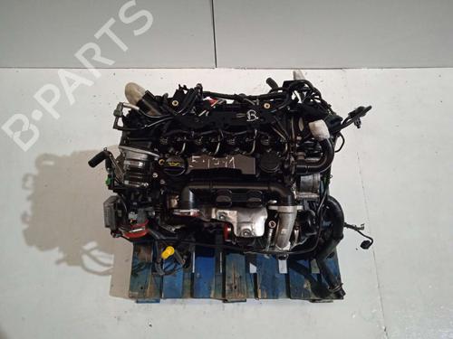 Engine FORD FIESTA VI (CB1, CCN)  | BP31619548M1  - Image 5