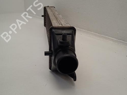 Intercooler FIAT BRAVO II (198_) 1.6 D Multijet (198AXH1B) | BP31617113M30 