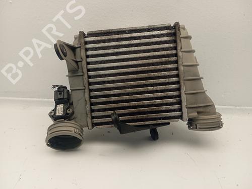 Used Intercooler SEAT CORDOBA (6L2) 1.9 TDI (131 hp) 24052771