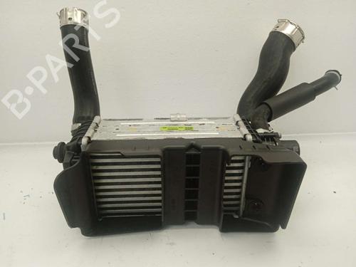 Used Intercooler Intercooler KIA RIO IV (YB, SC, FB) 1.0 T-GDI 100 (101 hp) 40095933 40095933