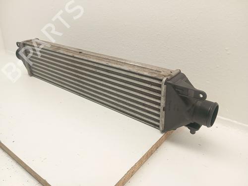 Intercooler LANCIA DELTA III (844_) 1.6 D Multijet (844.AXC11, 844.AXC1A) | BP39102727M30 - Image 5