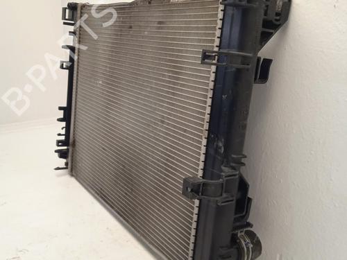 Water radiator NISSAN JUKE (F16_) 1.0 | BP32482643M31
