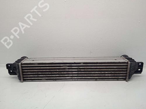 Intercooler CHEVROLET CAPTIVA (C100, C140)  | BP31621050M30  - Image 6