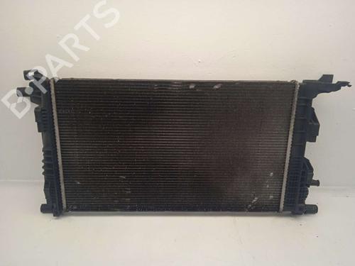 Used Water radiator RENAULT SCÉNIC III (JZ0/1_) [2008-2016]  31806230