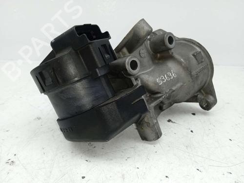 Egr CITROËN C5 II (RC_) | BP24980025M69