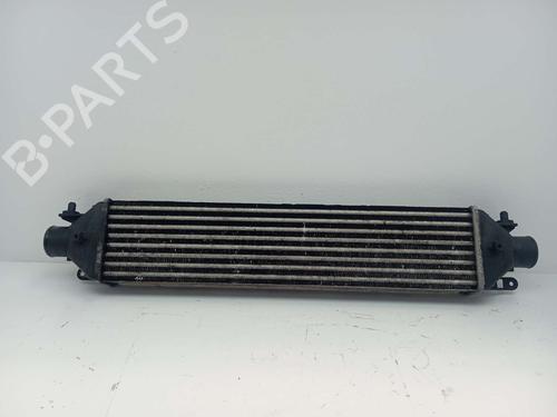 Used Intercooler FIAT BRAVO II (198_) 1.9 D Multijet (198AXB1A) (120 hp) 31614515
