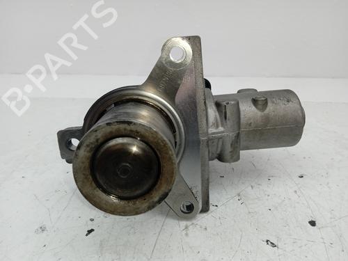 Egr DACIA SANDERO | BP24893074M69