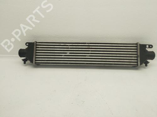 Intercooler LANCIA DELTA III (844_) | BP40534177M30 - Image 4