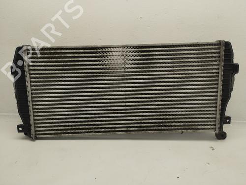 Intercooler KIA CARENS III MPV (UN) [2006-2013]  31617141