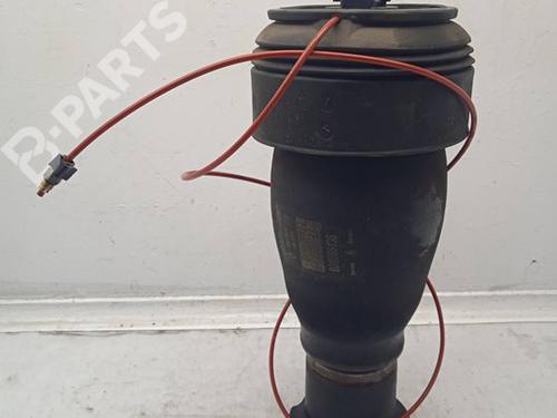 BP11159901M19 main image