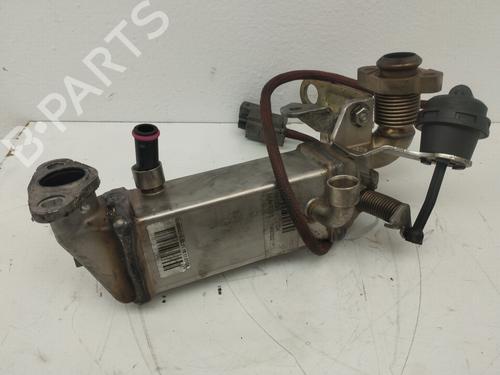 Egr BMW 1 Coupe (E82) 120 d (177 hp) 18735252