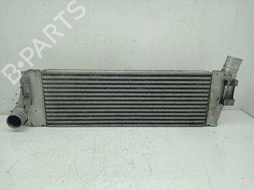 Used Intercooler RENAULT MEGANE II (BM0/1_, CM0/1_) 1.9 dCi (BM0G, CM0G) (120 hp) 11833736