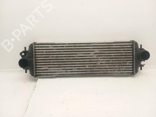 Used Intercooler Intercooler OPEL VIVARO A Van (X83) 1.9 DTI (F7) (101 hp) 40020317 40020317