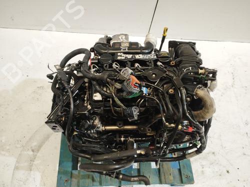 Engine FORD FOCUS C-MAX (DM2) 1.6 TDCi | BP39147329M1 - Image 5