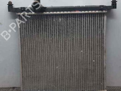 Wasserkühler für NISSAN MICRA IV (K13K, K13KK) 1.2 (80 hp) 4334367