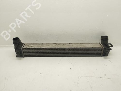 Intercooler RENAULT MEGANE III Hatchback (BZ0/1_, B3_) [2008-2026]  31806236