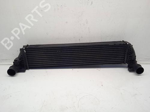 Used Intercooler RENAULT LAGUNA II (BG0/1_) 1.9 dCi (BG1A, BG1V) (130 hp) 11165976