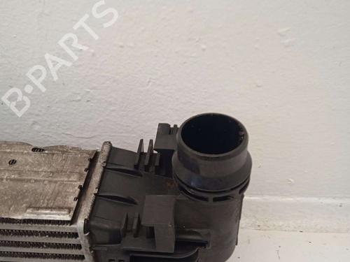 Intercooler DACIA DUSTER (HS_) | BP33605601M30 - Image 5