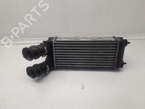 Used Intercooler CITROËN C4 Picasso I MPV (UD_) 1.6 HDi (109 hp) 11150088