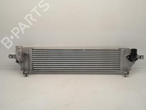 Used Intercooler NISSAN QASHQAI I (J10, NJ10) [2006-2015]  31619397