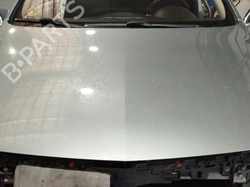 hood-opel-insignia-a-sports-tourer-g09-2008-2009-2010-2011-2012-2013-2014-2015-2016-2017-23233544 main image