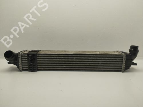 Used Intercooler RENAULT LAGUNA III (BT0/1) 2.0 dCi (BT01, BT08, BT09, BT0E, BT0K, BT12, BT1C, BT1D,... (150 hp) 20852410