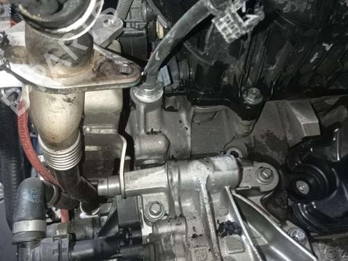 Engine BMW 3 Touring (G21, G81) | BP23221006M1