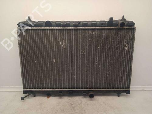 water-radiator-hyundai-trajet-fo-253103a100-1999-2000-2001-2002-2003-2004-2005-2006-2007-2008-11160575 main image