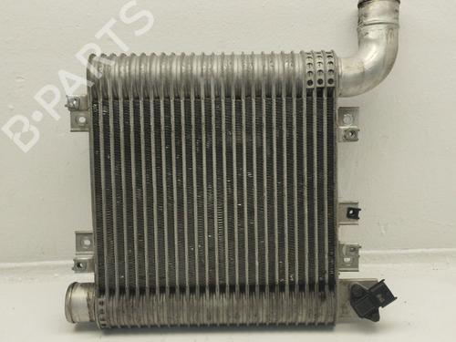 Intercooler HYUNDAI SANTA FÉ II (CM) [2005-2015]  31621093