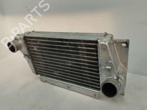 Intercooler TATA SAFARI (42_FD) | BP31617394M30 - Image 4