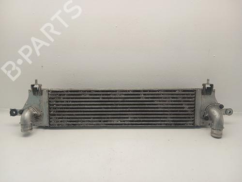 Intercooler NISSAN QASHQAI I (J10, NJ10) 2.0 dCi (150 hp) 31620760