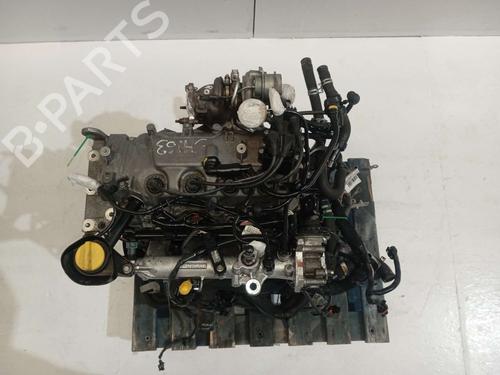 Engine RENAULT TWINGO II (CN0_)  | BP31614669M1  - Image 5
