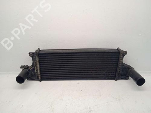 Used Intercooler Intercooler TATA ARIA 2.2 Di AWD (140 hp) 34630917 34630917