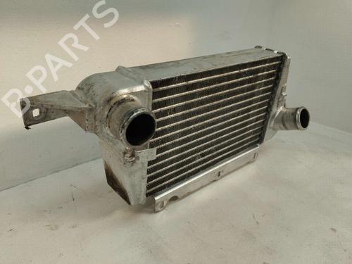 Intercooler TATA SAFARI (42_FD) | BP31617394M30 - Image 3
