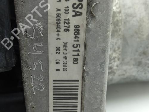 Steering pump PEUGEOT 307 (3A/C) | BP31616543M99